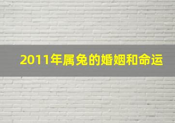 2011年属兔的婚姻和命运