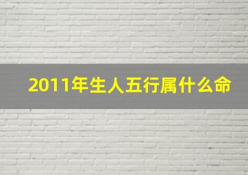 2011年生人五行属什么命