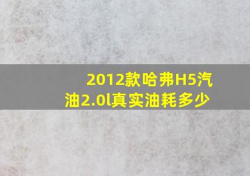 2012款哈弗H5汽油2.0l真实油耗多少