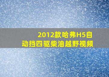 2012款哈弗H5自动挡四驱柴油越野视频