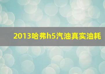 2013哈弗h5汽油真实油耗