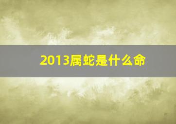 2013属蛇是什么命