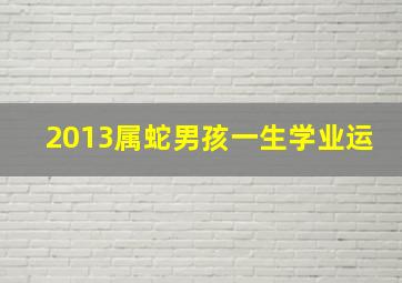 2013属蛇男孩一生学业运