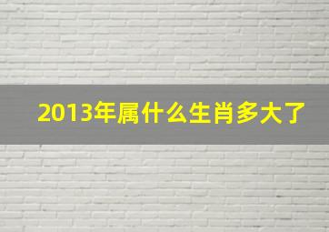 2013年属什么生肖多大了