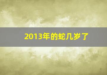 2013年的蛇几岁了