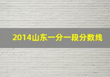 2014山东一分一段分数线