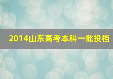 2014山东高考本科一批投档