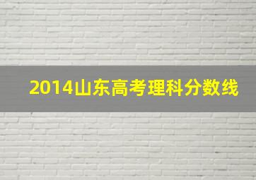 2014山东高考理科分数线