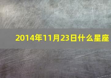 2014年11月23日什么星座