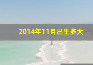 2014年11月出生多大