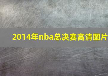 2014年nba总决赛高清图片