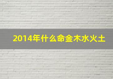 2014年什么命金木水火土