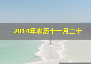 2014年农历十一月二十