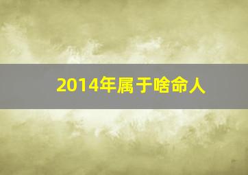 2014年属于啥命人