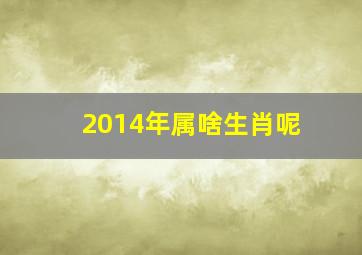 2014年属啥生肖呢