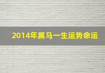 2014年属马一生运势命运