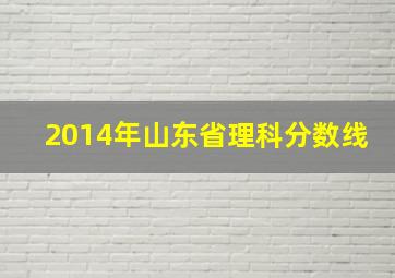 2014年山东省理科分数线