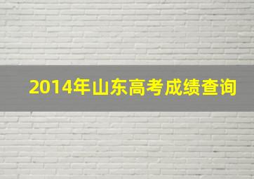 2014年山东高考成绩查询