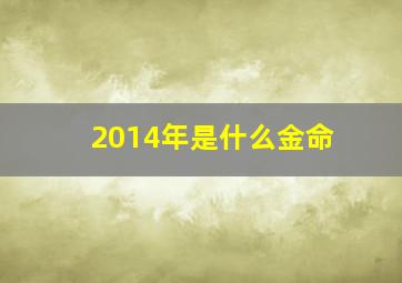 2014年是什么金命