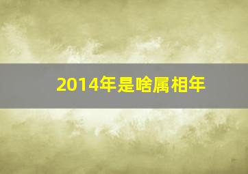 2014年是啥属相年