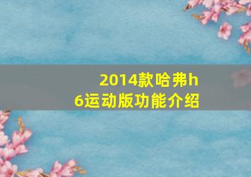 2014款哈弗h6运动版功能介绍