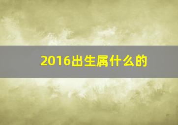 2016出生属什么的