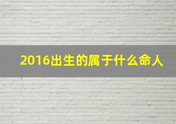 2016出生的属于什么命人