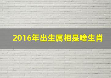 2016年出生属相是啥生肖