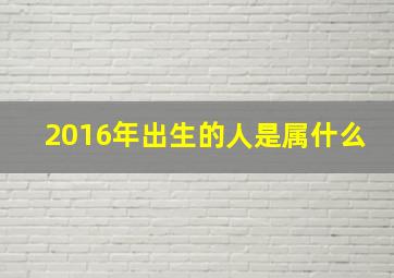 2016年出生的人是属什么