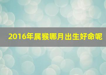 2016年属猴哪月出生好命呢