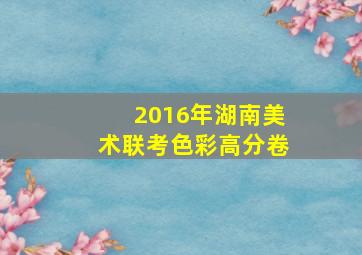 2016年湖南美术联考色彩高分卷