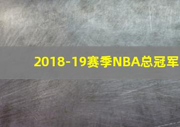 2018-19赛季NBA总冠军