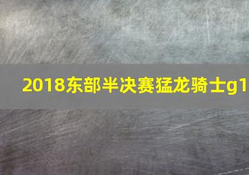 2018东部半决赛猛龙骑士g1