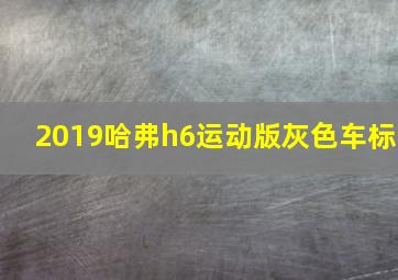 2019哈弗h6运动版灰色车标