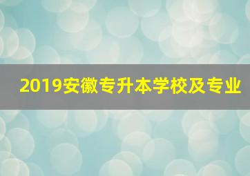 2019安徽专升本学校及专业