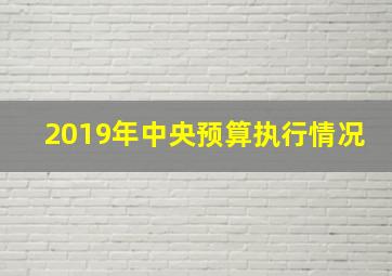 2019年中央预算执行情况