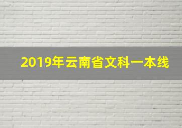 2019年云南省文科一本线