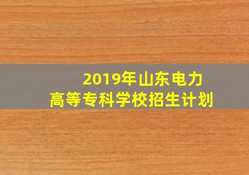 2019年山东电力高等专科学校招生计划