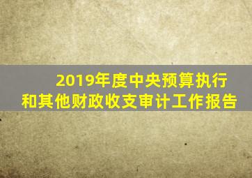 2019年度中央预算执行和其他财政收支审计工作报告