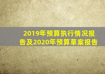 2019年预算执行情况报告及2020年预算草案报告