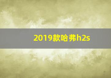 2019款哈弗h2s