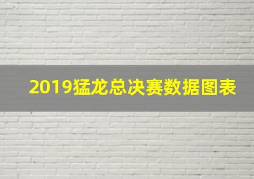 2019猛龙总决赛数据图表