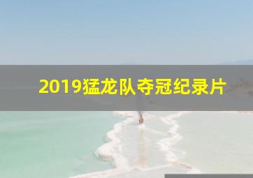 2019猛龙队夺冠纪录片