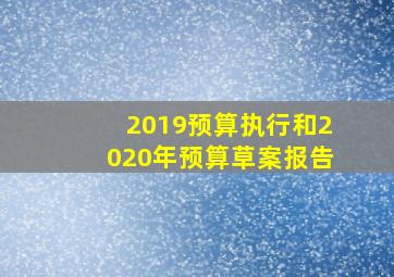 2019预算执行和2020年预算草案报告