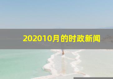 202010月的时政新闻