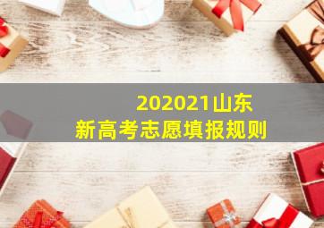 202021山东新高考志愿填报规则