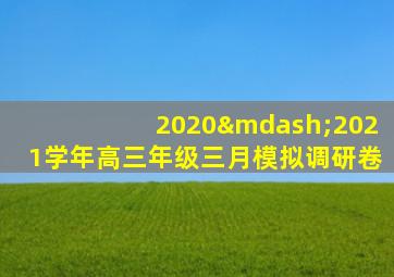 2020—2021学年高三年级三月模拟调研卷