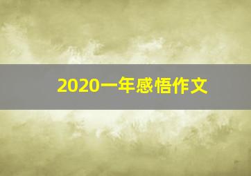 2020一年感悟作文