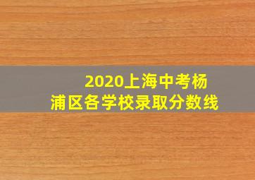 2020上海中考杨浦区各学校录取分数线