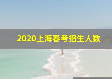 2020上海春考招生人数